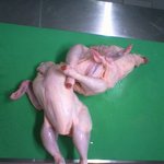 <b>엘소드</b>의 굴욕 스틸컷