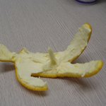 엽기 <b>귤껍질</b>