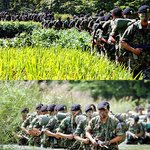 보면 <b>발</b> 아파지는 <b>사진</b>..