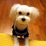 우리집 귀염둥이 <b>레오</b>~