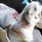 동생<b>내외</b>랑 나들이 (1)