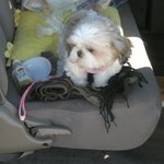 동생내외랑 나들이 (2)