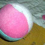 내가만든 베개 <b>미미</b>가 찜해버렸네요