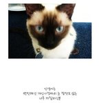 인생씨는...
