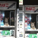 요즘 너무들 <b>금연</b>한다~~?!