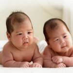 울<b>쌍둥이</b>