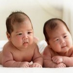 50일된 울<b>쌍둥이</b> 사진
