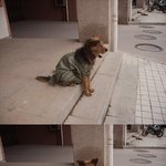 <b>진정</b>한 빈티지