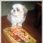 <b>미미랑</b> 치킨