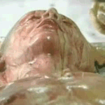 사람 신체 <b>일부분</b> 비닐에 쌓여 진열?