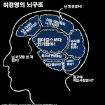 <b>iq</b> 430 허경영의 뇌 구조~!