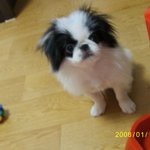 부쩍<b>커</b>버린찡<b>아</b>~*