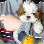 완전 매력남 봉<b>장군</b>~~!! 우리봉구