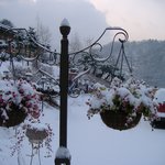 말라뮤트"<b>솔</b>"<b>이</b>와 함께한 어느날~~~