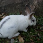 <b>무등산</b> 산토끼....