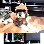 <b>모자</b>쓴멋진슈나^^♡
