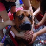 hot~!! 뜨거 뜨거~ 핫~!!!