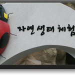 조카들과 간 자연생태체험관~