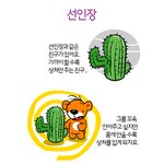 <b>선인장</b>