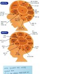 남자<b>vs</b><b>여자</b>