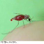 <b>배</b>터진다