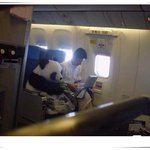 항공기내 적나란 팬<b>x</b> <b>노출</b>사건