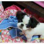 찡아 털 밀어써용..ㅋ