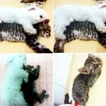 고순군과바리군<b>동침</b>했어요 ㅎ