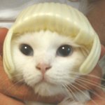 저 <b>가발</b>샀는데 어울리나염?