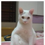 <b>이</b> 결혼 <b>반</b>댈세!!!