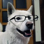 희망<b>박사님</b>이예요!!!!