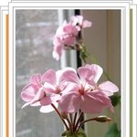 carpe diem - <b>day</b>