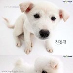 애기때는 다<b>귀여</b>웡