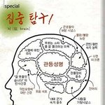 군인 계급별 두뇌 <b>발달</b>...