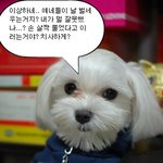 싸가지 대박 우리 <b>뚱이</b>~