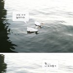 <b>우왕</b>ㅋ 굳ㅋ