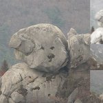기다림에 지쳐 <b>돌이</b> 된 강아지 ㅋ