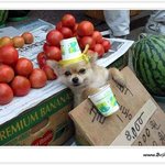나도 <b>밥값</b>은 한다고요~