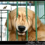 <b>남희석</b> 닮은