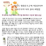 피부에도 <b>명절</b>증후군이 온다! 초보주부들의 피부 관리 처방법