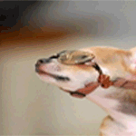 이번주 <b>일욜</b>에 자격증셤치는분~