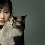 <b>이나영</b> ''고양이 닮은 외모'' 귀여워~