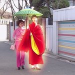 고스톱 오광 실사판 ㅋㅋㅋㅋ