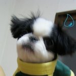 투투찡아~ㅋ