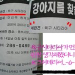 <b>신종</b> 개이름