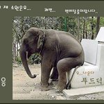 새해에는 말이죠.. // 휴지를 다오~ 휴지이~~~