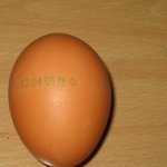 <b>이천수</b> 선수, 양계업도 하시는군요.