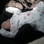 우리 <b>포동</b>왕쟈 현주니 납치해왓어영..ㅎㅎ