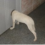 <b>침착</b>하자 .. 일단 꺼내줘