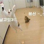날<b>아야</b>해